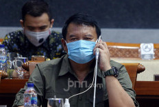 Risiko Kirim 8 Ribu Pasukan TNI ke Gaza di Bawah BoP, Membahayakan Nyawa