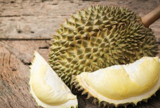 Makanan dan Minuman yang Sebaiknya Tidak Dikonsumsi Bersama Durian