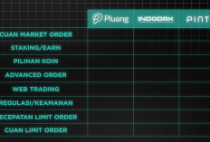 Perbandingan Indodax, Pluang, dan Pintu - Mana yang Lebih Menguntungkan untuk Investasi Crypto?