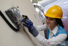 Pengamat Sebut Program LUTD Bukti Nyata Karyawan PLN Ikut Dorong Kemandirian Energi
