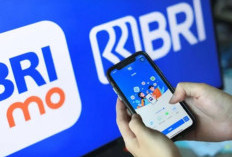 Cara Buka Blokir BRImo Salah Password 3 Kali Lewat HP