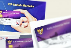 KIP Kuliah 2025 Resmi Dibuka! Cek Syarat, Jadwal, hingga Cara Daftarnya