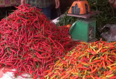 Harga Bahan Pokok di Pasar Lebong  Terpantau Stabil 