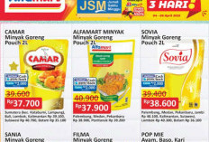   Katalog Promo JSM Alfamart Periode 11-13 April 2025