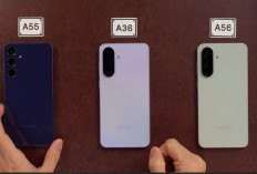 Pilih Samsung Galaxy A36, A55, atau A56? Simak Perbandingannya!