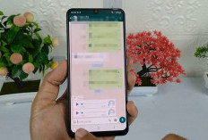 Cara Merubah Voice Note WhatsApp Menjadi Teks Tulisan dengan Mudah