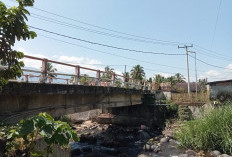 Tumpukan Sampah di Bawah Jembatan Desa Semelako I Bikin Resah