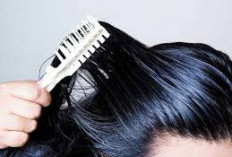  Rambut Mudah Berminyak? Ini Solusi yang Bisa Kamu Coba! 