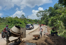 PUPRP Lebong Ambil Alih Perbaikan 4 Titik Jalan Propinsi yang Rusak