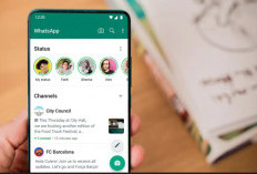 Status WhatsApp Tidak Muncul Padahal Tidak Diprivasi? Ini Penyebabnya