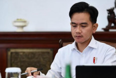 Polemik Pengangkatan PPPK & CPNS 2024, Wapres: Sudah Ada Solusinya, Tunggu Saja