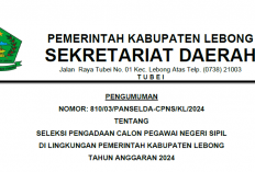 Pendaftaran CPNS Lebong 2024 Resmi Dibuka, Ini Link Pendaftaran, Syarat, Jadwal dan Formasinya 