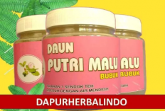 Cara Membuat Ramuan Daun Putri Malu untuk Kecantikan Kulit