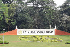 Heboh Kasus Pelecehan di UI, Ahli Ungkap Bahaya Perilaku Jahat Tak Dihentikan, Seram...