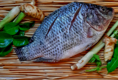 Ikan Terbaik untuk Menjaga Kesehatan Ginjal