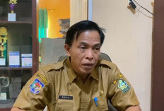 Update Seleksi JPT Pratama Lebong, Plt Kepala BKPSDM Surati BKN