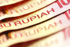 Maaf, PNS Kategori Ini Tidak Berhak Mendapatkan Gaji ke-13