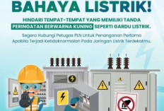 Mudik Tenang, PLN Bagikan Tips Cegah Gangguan Listrik Saat Tinggalkan Rumah
