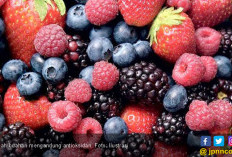7 Buah-buahan Ini Kaya Antioksidan