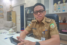 6 Bulan Honorer Gigit Jari, Sekda Ungkap Penyebabnya