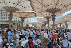 Bus Jemaah Umrah Indonesia Terbakar di Dekat Madinah, Begini Kronologinya