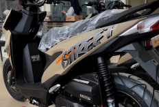 New Beat Street 2026: Pembaruan Stripping Baru dan Detail Fitur