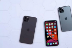 Informasi Kapasitas Baterai dan Spesifikasi iPhone 11