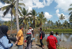 Kelurahan Embong Panjang Bangun Jalan Usaha Tani dengan Dana Kelurahan