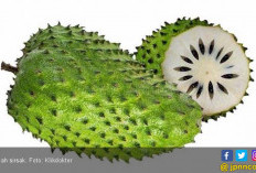 4 Manfaat Sirsak, Ampuh Meredakan Nyeri Tubuh