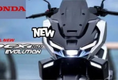 PCX Evolution Nexy 2025: Skutik Premium dengan Fitur Canggih dan Harga Bersaing