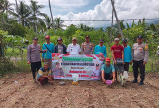 Polsek Ajak Masyarakat Tanam Jagung, Dukung Program Asta Cita Presiden