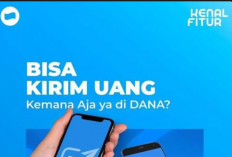 Aplikasi DANA Tidak Bisa Dibuka? Ini Solusinya!