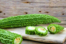 Manfaat Pare untuk Kecantikan Wajah dan Rambut