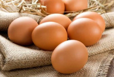 3 Makanan Kaya Nutrisi yang Bantu Rambut Lebih Sehat