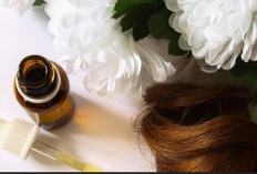 Cara Bikin Hair Oil Untuk Atasi Rontok Pakai 2 Jenis Minyak Dapur