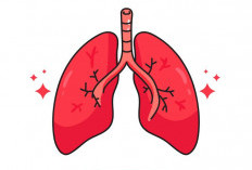Mitos vs. Fakta: Apa yang Sebenarnya Menyebabkan Paru-paru Basah?