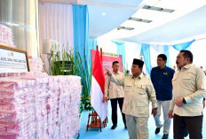 Pemerintah Intensifkan Penertiban Tambang Ilegal, Satgas PKH Bidik 75 Perusahaan