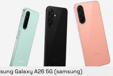 Daftar Pilihan HP Samsung RAM 8/256 GB Terbaik 2026