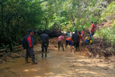 Hujan Deras, Empat Titik Longsor Kembali Terjadi di Rimbo Pengadang