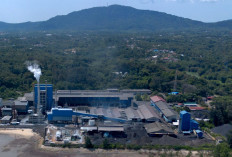 Emiten Grup MIND ID Cetak Performa Impresif Sepanjang 2025