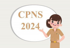 Cek Sekarang, KemenPANRB Resmi Umumkan Jadwal Pendaftaran CASN 2024