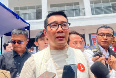 Ridwan Kamil Laporkan Lisa Mariana, Kuasa Hukum Beri Penjelasan