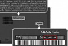 Cara Mudah Cek Serial Number Laptop Windows & Mac
