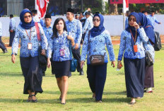 Ribuan Guru PPPK dan P3K PW Mengembalikan Dana Tamsil, Begini Ceritanya