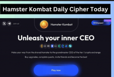 Hamster Kombat: Buka Gudang Harta Karun dengan Cipher Mode!