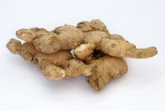 3 Pengobatan Alami untuk Asam Urat yang Membandel