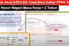 Cara Cek Jumlah Saingan CPNS 2024