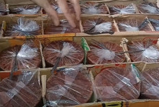 Kenali Perbedaan Gula Aren Asli dan Palsu Agar Tidak Tertipu