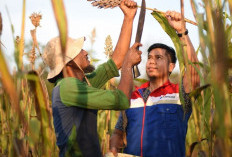 Konsisten Jalankan Program TJSL, Pertamina Borong 42 Penghargaan CSR Awards