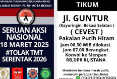 Pemda Tolak Penundaan Pengangkatan PPPK 2024, Honorer Mantap Ikut Aksi Nasional 18 Maret